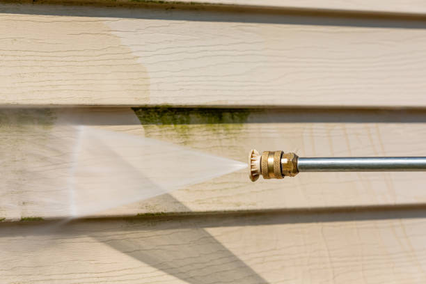 Best Residential Pressure Washing Services  in Campbellsville, KY