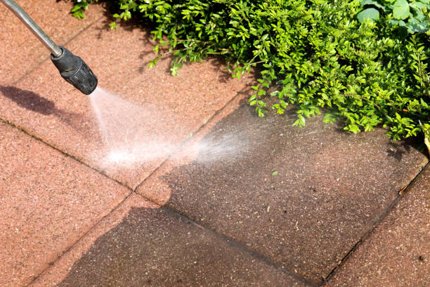 Best Sidewalk Pressure Washing  in Campbellsville, KY